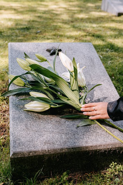 A person placing a floral tribute on a grey granite memorial at Kensal Green Cemetery. The bouquet features white lilies with large, smooth petals and green foliage, arranged in a natural, flowing sty